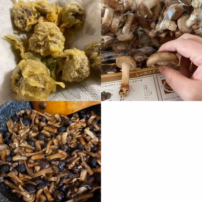 みんなの投稿の画像