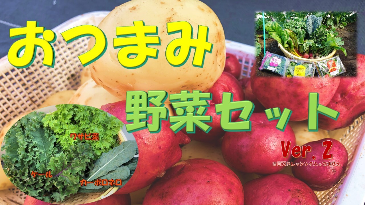 葉ニンニクの産直通販・お取り寄せ商品｜ポケットマルシェ｜産地直送で