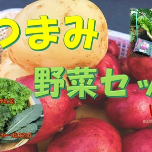 【熊本県産】 "おつまみ"野菜とベビーリーフセット ver.2