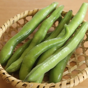 【サラダ空豆】ファーべ