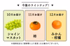 ポケマルがお届け！「お試し 王道フルーツ定期便」