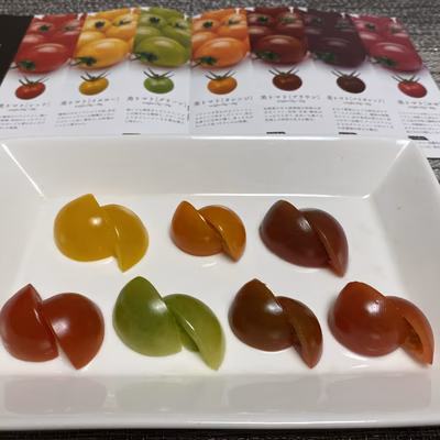 みんなの投稿の画像