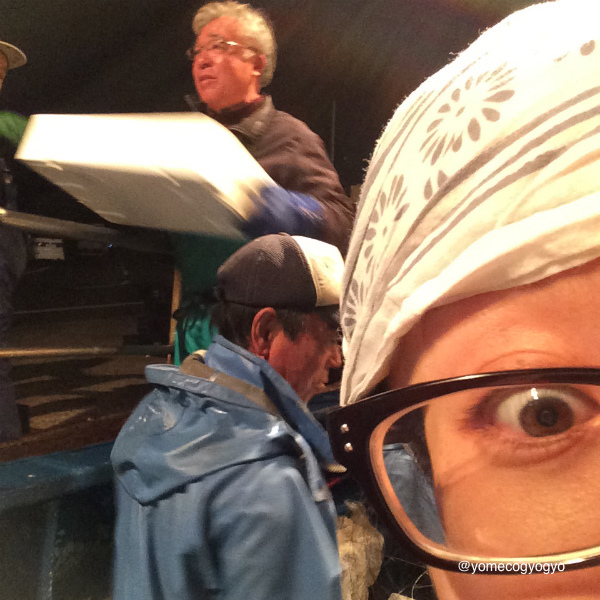 pics_02_2015110312400696a