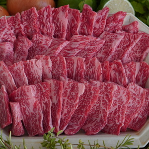 ☆イチオシ☆yakiniku 希少部位焼肉 BBQ set 【コロナに負けない】