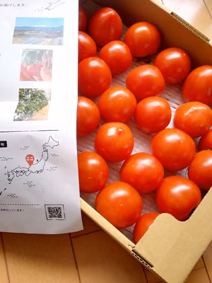 みんなの投稿の画像