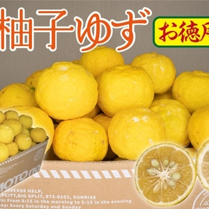 【残りわずか】大分県宇佐市産 柚子（ユズ）【お徳用】約10kg