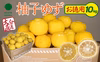 【残りわずか】大分県宇佐市産 柚子（ユズ）【お徳用】約10kg