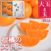 【二級品／ハーフ化粧箱】『柑橘の大トロ』ハウスせとか大玉4玉入（約1kg）