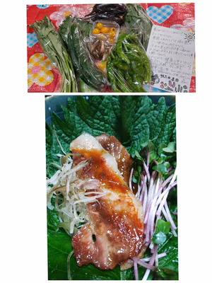 みんなの投稿の画像