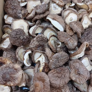 【お得！！】訳あり乾燥しいたけ　たっぷり500ｇ