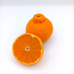 デコがポイント！不知火【家庭用】