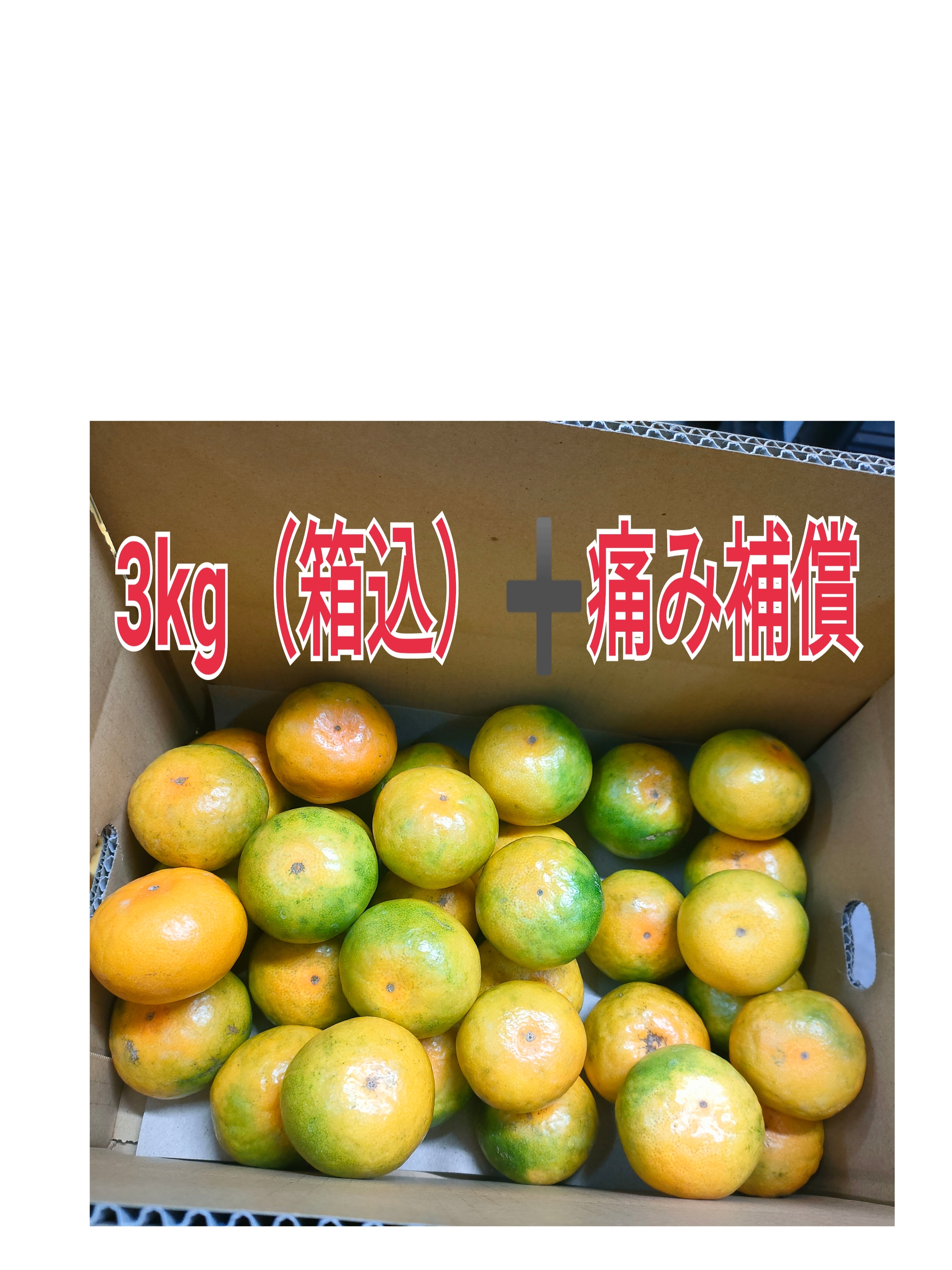 同梱みかん様㊶大きめ さくらホイップ❣️ミニマカロン交配❣️6苗!発根済み カドーセゾン | カドーセゾンマカロンボックスM マカロン柄 100