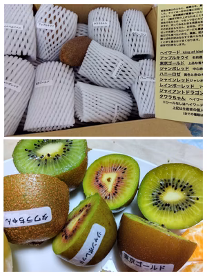 みんなの投稿の画像