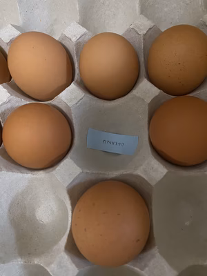 みんなの投稿の画像