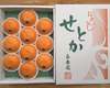 【化粧箱】『柑橘の大トロ』ハウスせとか厳選10玉入（約2.5kg）