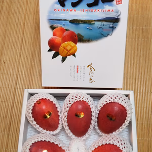 石垣島樹上完熟マンゴー２kg【４玉～６玉】【化粧箱入り】