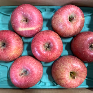 【訳あり】味は優秀！ サンふじ家庭用品