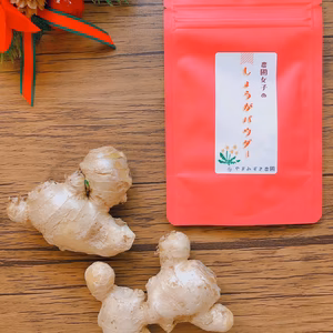 【完売御礼】農園女子のしょうがパウダー 無農薬生姜で作りました