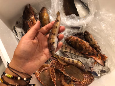 みんなの投稿の画像