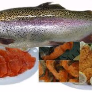 【数量限定】お米じゃないよ！魚だよ！！群馬のブランド鱒ギンヒカリ！！！1㌔以上