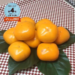 最終になりました❣　 たねなし柿（平核無) ９個入り（※ご家庭用）　