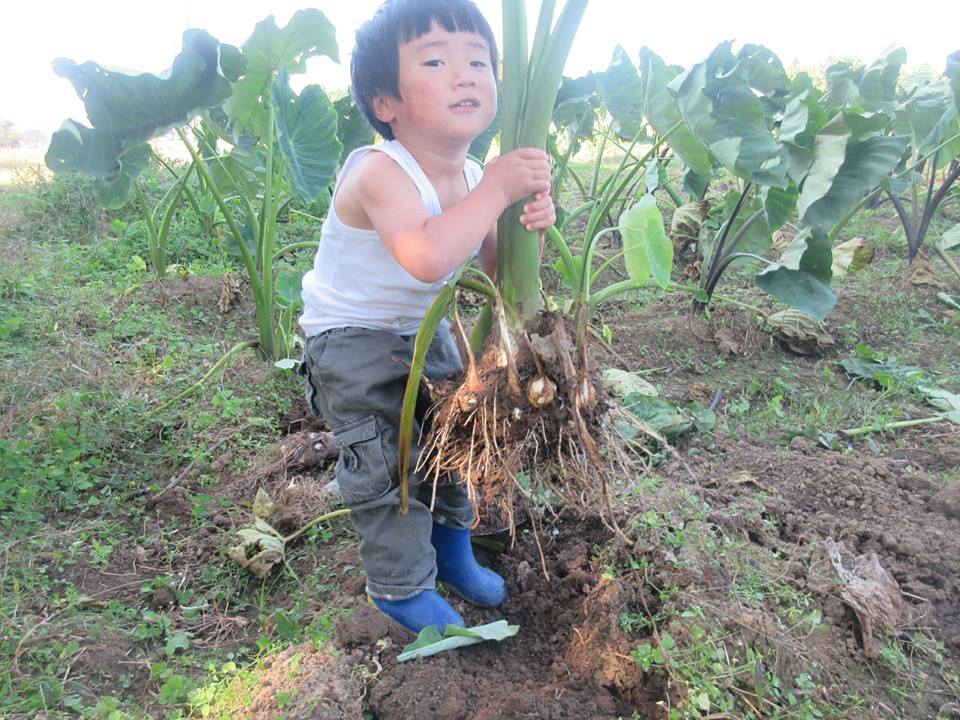 14720461_1093817517392694_8581169538807133046_n