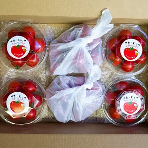 【1番人気♪】⭐高糖度フルーツトマト「ポモロッサ」お試し2つセット
