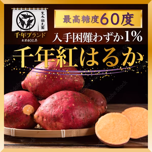 【父の日ギフト】幻の千年紅はるか100本に1本蜜化する千年ブランドさつまいも
