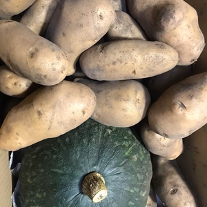 鳥取大山山麓じゃがいもとかぼちゃのホクホク5キロセット