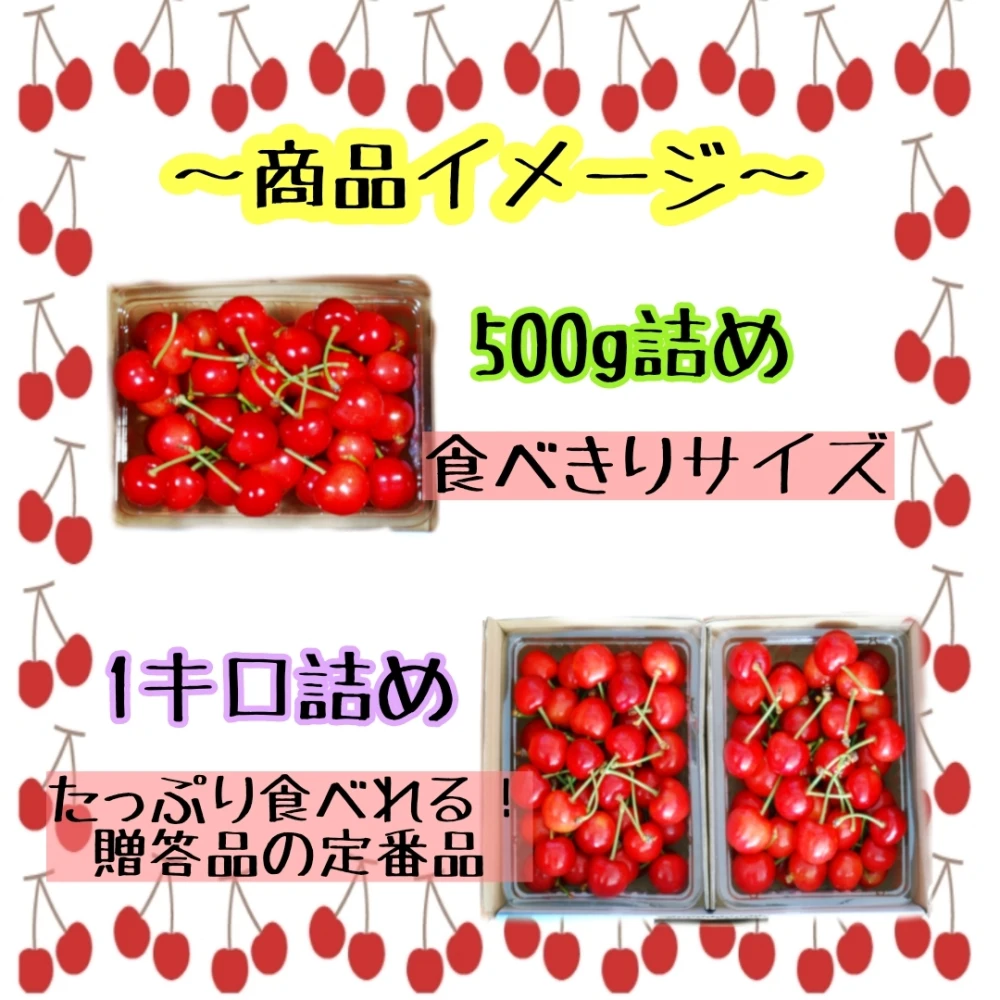 減農薬栽培　美味しいさくらんぼをさくらんぼ農家がセレクト！品種おまかせコース