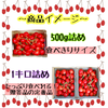 減農薬栽培　美味しいさくらんぼをさくらんぼ農家がセレクト！品種おまかせコース