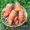 【Ｂ品・訳あり特価！】自然農法で栽培した「人参（ニンジン）」1kg〜：浜名湖直送