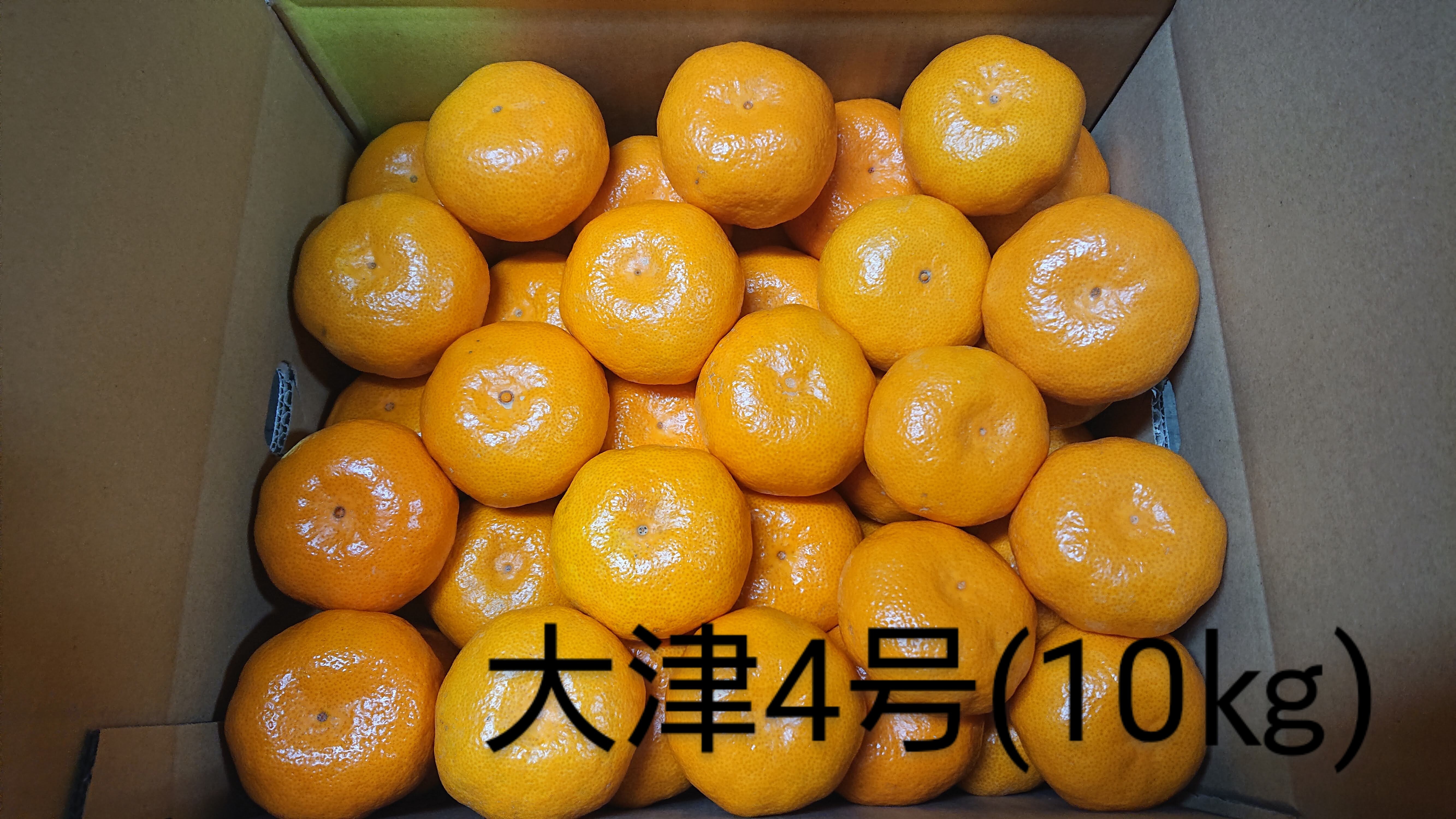 ■和歌山産 大津4号 みかん 大玉サイズ 2箱■ 大津みかん(四号)』5kg LLサイズ（1kgあたり6-7個）大津四号発祥の地