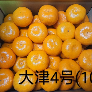 【濃い味】大津4号(ご家庭用)#農カード付き