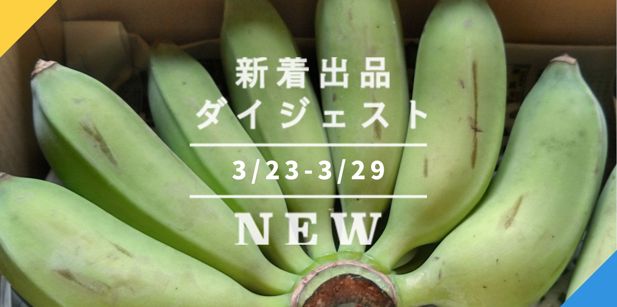 おさむちゃん様 完熟梅10キロ 送料込みクール便 しょっぱくっ