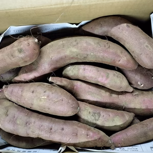 熟成さつまいも　べにはるか　紅はるか　　パチャママ農園