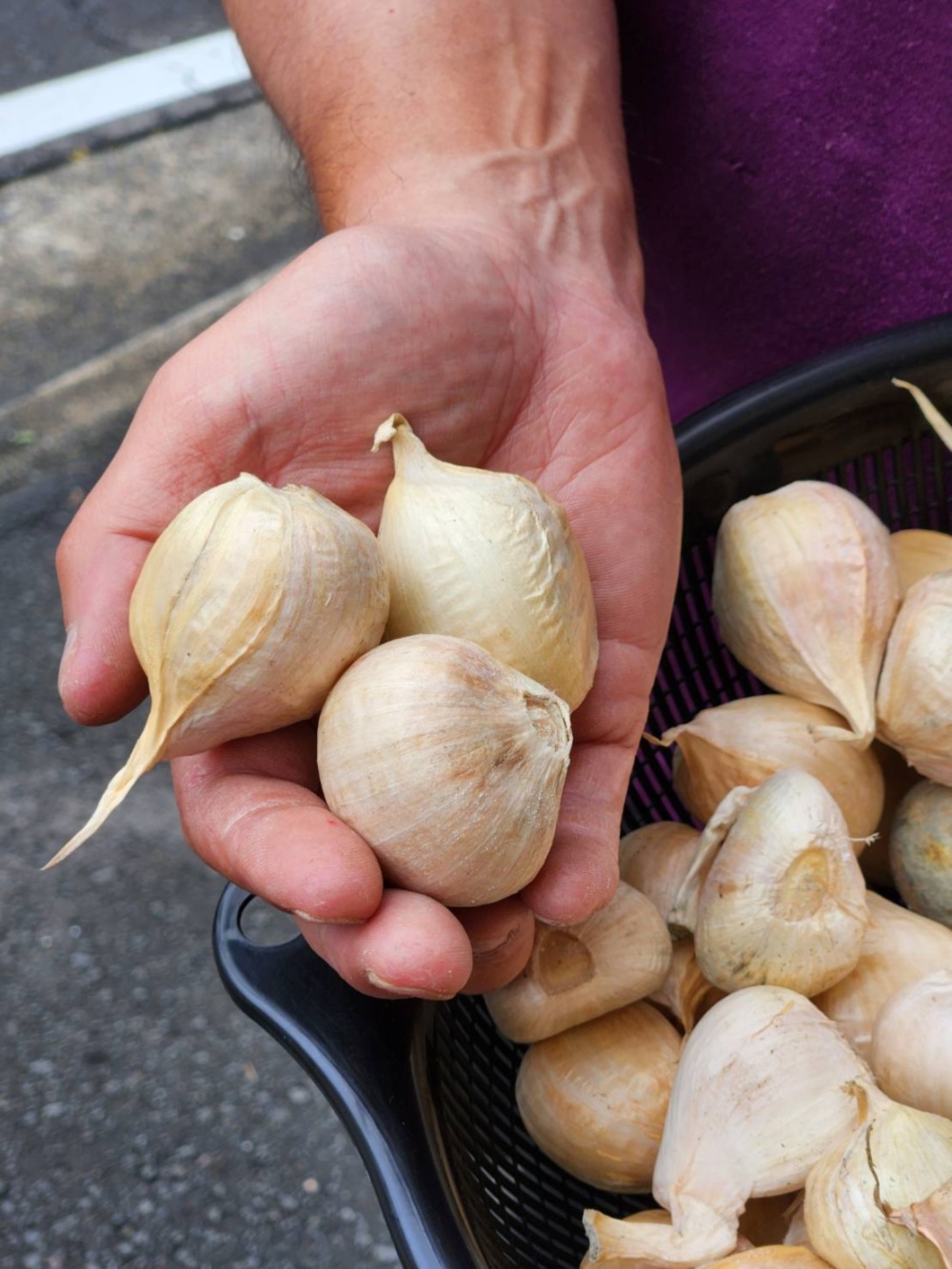 ジャンボニンニク10キロ(農薬,化学肥料不使用) ジャンボにんにく（剥き