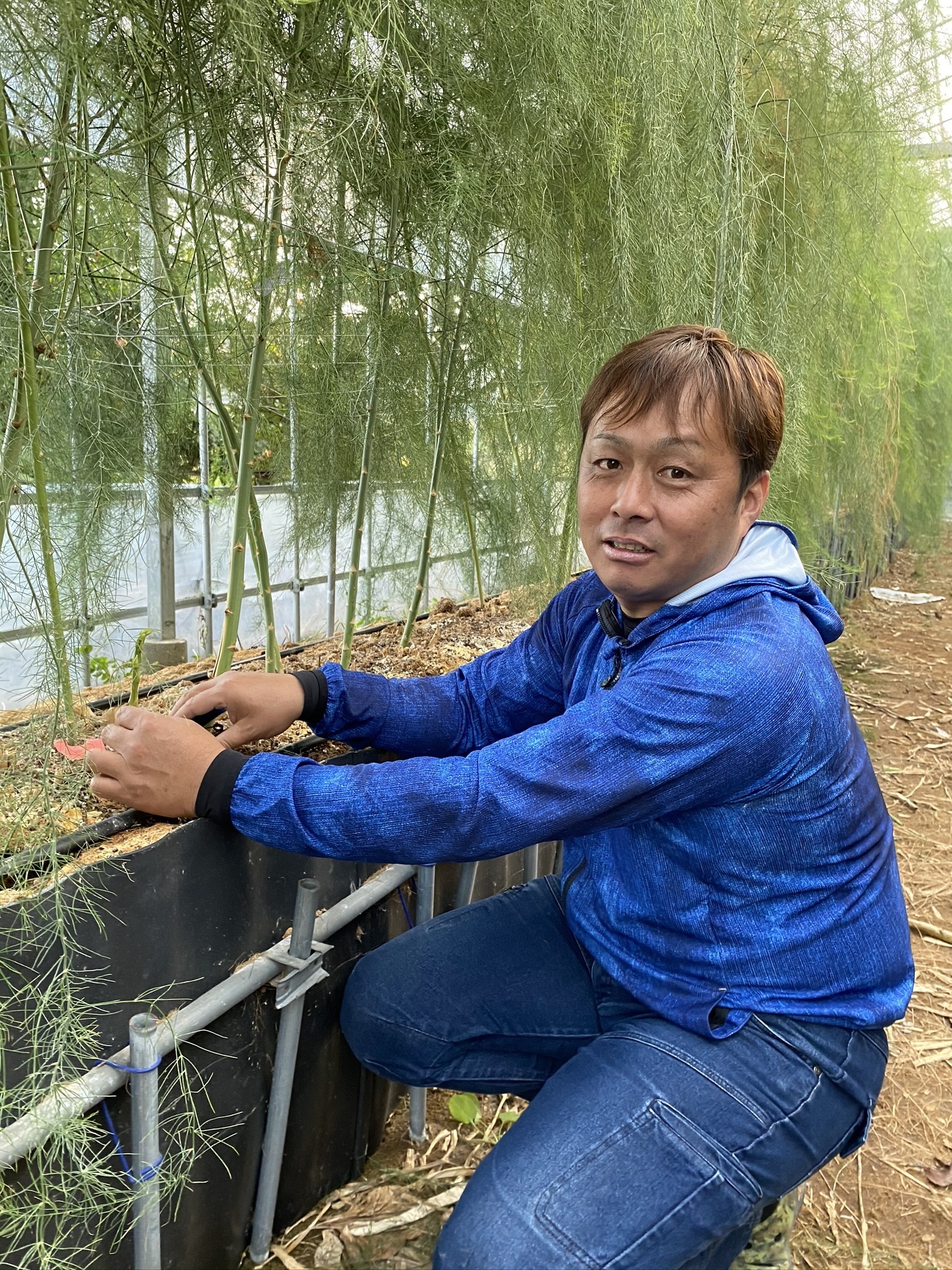 香川県東かがわ市｜はなまる農園｜花崎圭助さんの生産者プロフィール｜ポケットマルシェ｜産地直送で旬の食材が生産者(農家・漁師)から届く