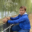 花崎圭助