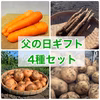 【父の日ギフト】野菜セット！【農薬・化学肥料不使用】