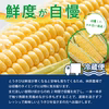【予約割引】十勝芽室 極甘ジューシーコーン とうもろこしの王様  8月中旬発送