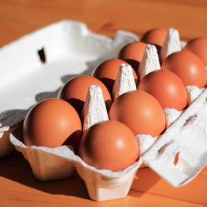 農家お勧め卵かけご飯セット（白米2kg、卵10個、だし醤油100ml）