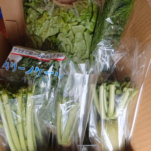 冬の野菜セット 岩手県一関市産