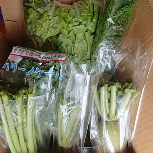 冬の野菜セット 岩手県一関市産