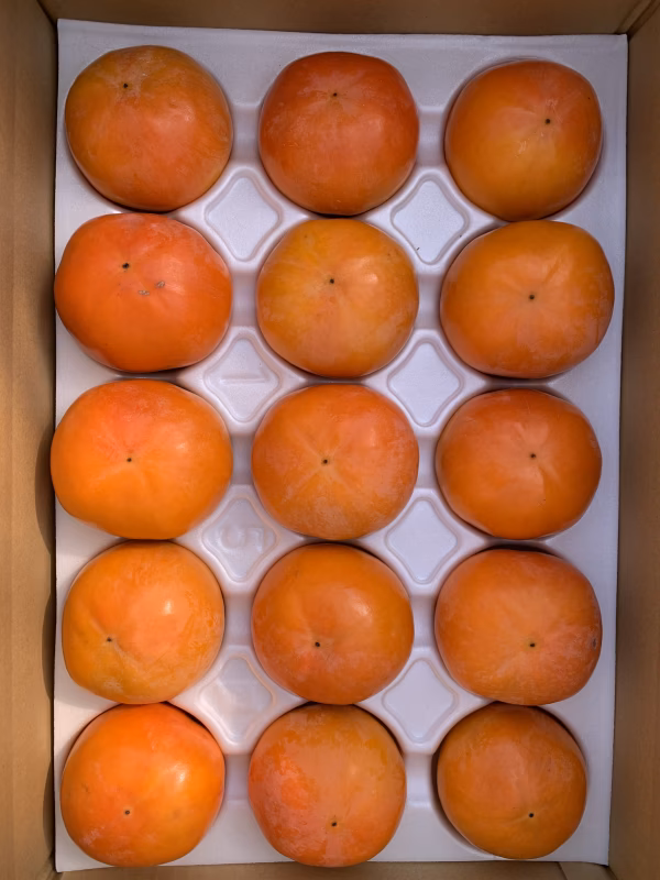 京都大枝の富有柿　２Ｌサイズ　15個入り