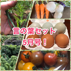 【茨城の魅力を詰め込み】言の葉詰め合わせセット！5月号！