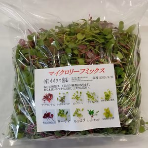 マイクロリーフミックス200g 和風ベビーリーフ100g(月2回配送の定期便)