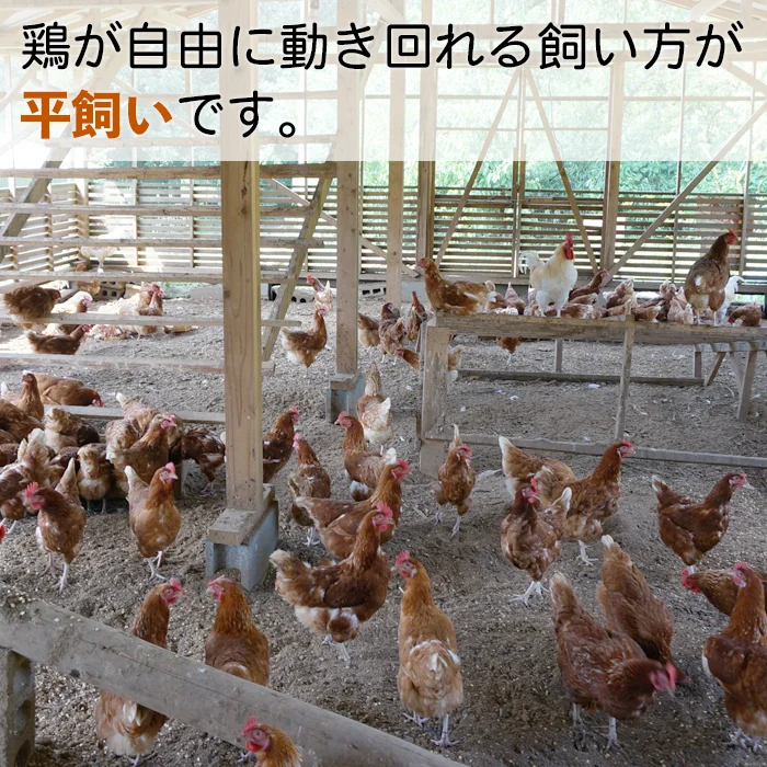 【塩で絶品☆卵かけご飯】 山もりたまご【返金・割れ保証付き】