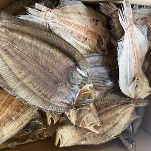 でびら　ガンゾウビラメ　無添加　天日干し　超特大