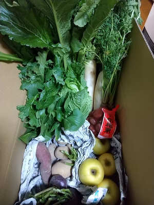 みんなの投稿の画像